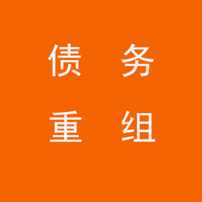木里个人债务重组优化